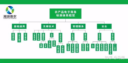 構(gòu)建智能引領(lǐng)的農(nóng)產(chǎn)品電商標準體系 標準化、系統(tǒng)化與工程化路徑